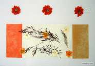 Corail STF1