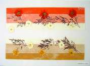 Corail STF2