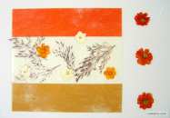 Corail STF3