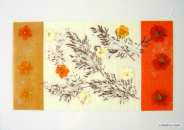 Corail STF4