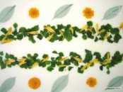 Vert STF1