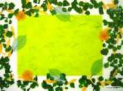 Vert STF4