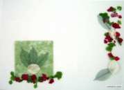 Vert-rouge STF3