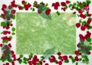 Vert-rouge STF4