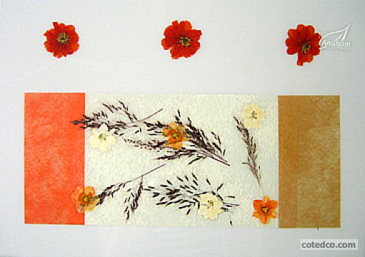 Corail STF1
