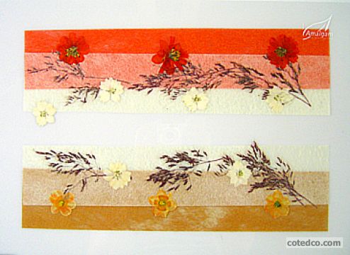 Corail STF2