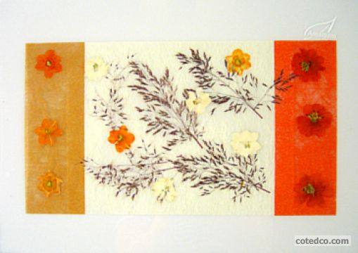 Corail STF4
