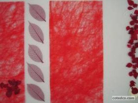 Rouge STF2