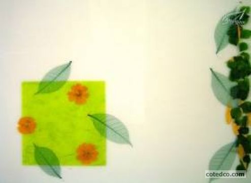 Vert STF3