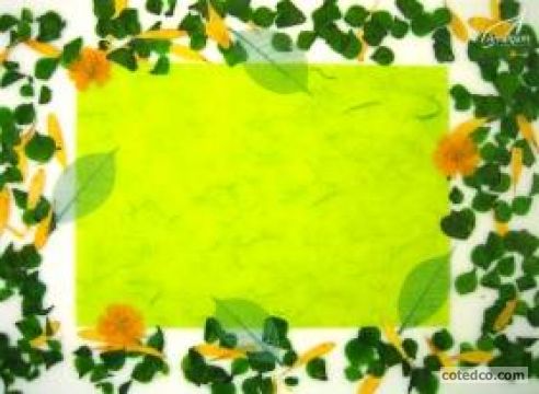 Vert STF4