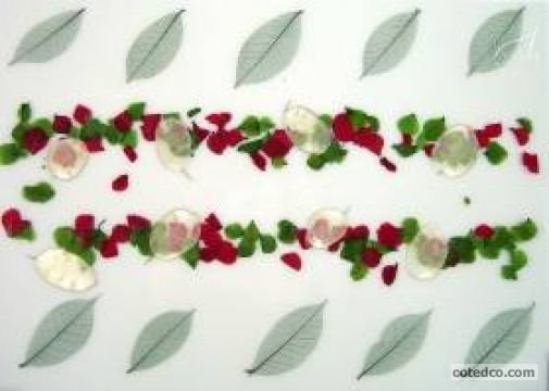 Vert-rouge STF1