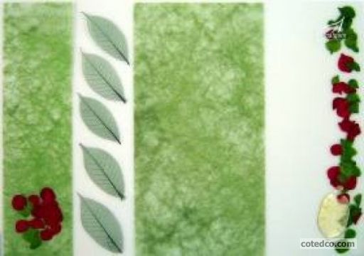 Vert-rouge STF2