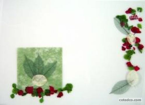 Vert-rouge STF3