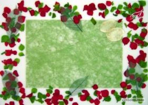 Vert-rouge STF4