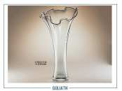 Goliath