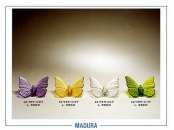 Madura 