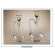 Aigui�re Magnum 150cl