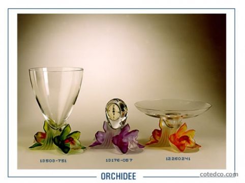 Orchidee