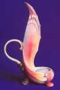 Butterfly Candle Holder  
