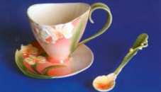 Cup Saucer Orchid