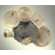 Coffret de 6 Assiettes canap�s assorties - diam. 16,5 cm