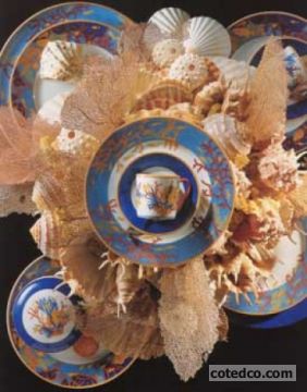 Collection Oceane