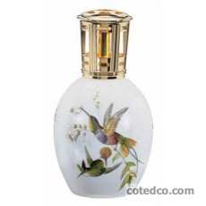 Oiseau exotique - 3058