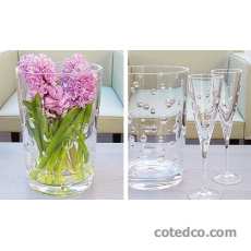 Coffret de 6 Gobelets forme basse 24 cL