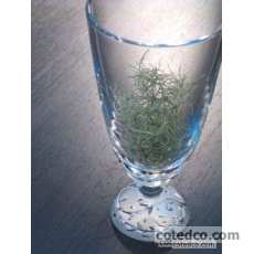 Coffret de 1 Broc  1,20 L