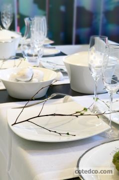 Deco White