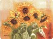Let The Sunshine