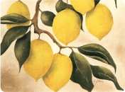 Orchard Lemon