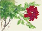 Red Oriental Floral