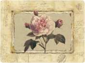 Rose Fragment