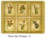 Fleurs Des Champs