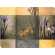 Bo�te de 6 sets de verres  - 10.5x10.5 cm