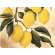 Bo�te de 6 sets de verres  - 10.5x10.5 cm - Orchard Lemon