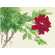 Bo�te de 4 sets de table  - 40x29.5 cm