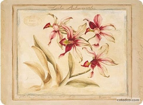 Exotic Lily