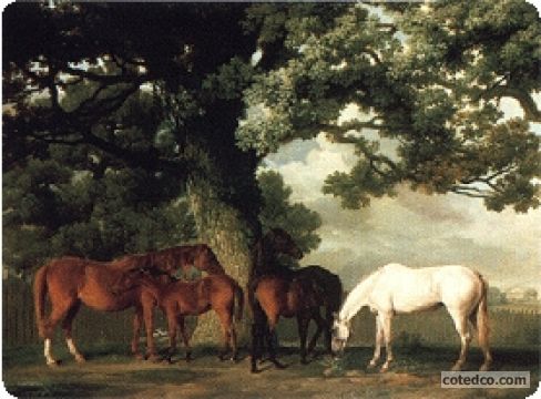 Grazing Horses