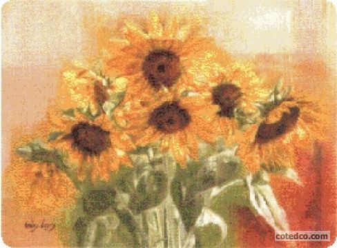 Let The Sunshine