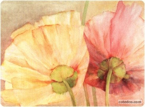 Poppies