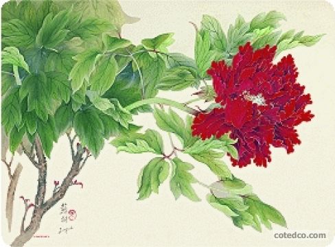 Red Oriental Floral