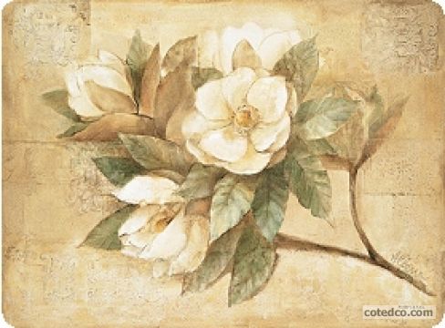 Sugar Magnolia