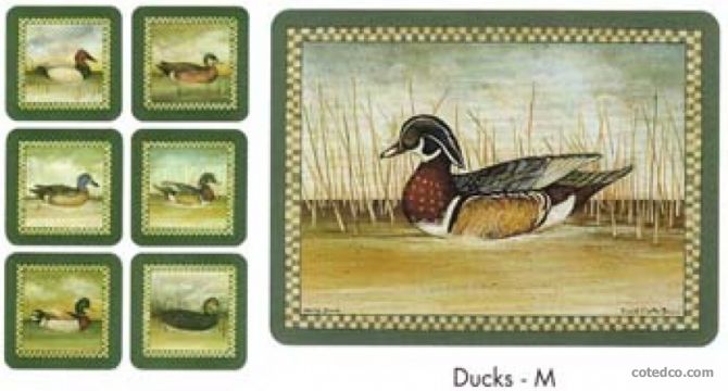 Ducks