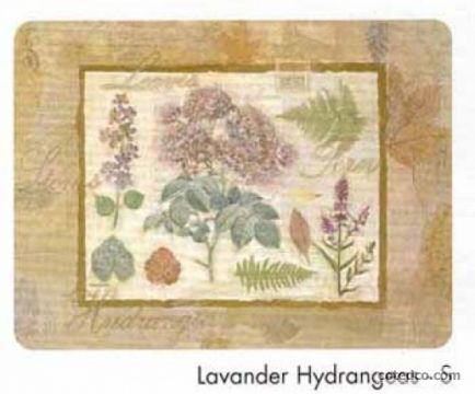 Lavande