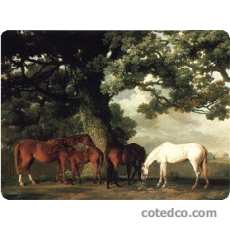 Plateau bois - 44.5x34.5 cm