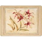 La collection Exotic Lily - Pimpernel