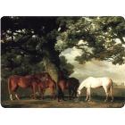 La collection Grazing Horse - Pimpernel