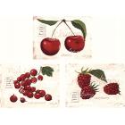 La collection Red Fruit - Pimpernel